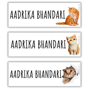 Cats Name Stickers