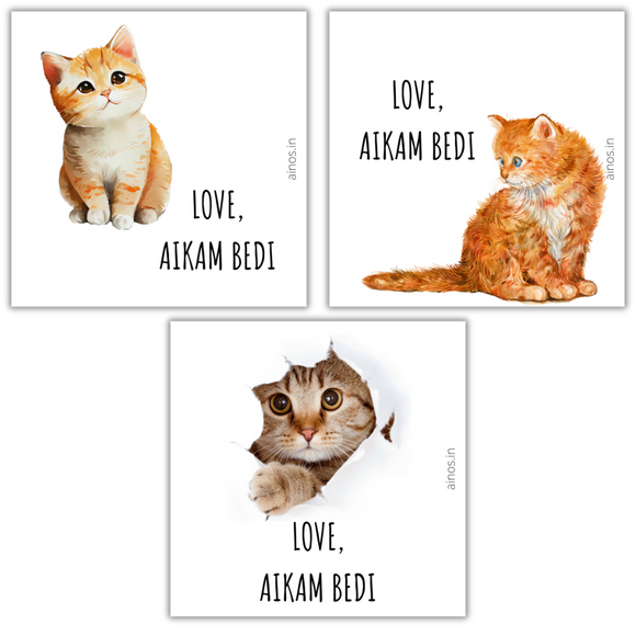 Cats Gift Stickers